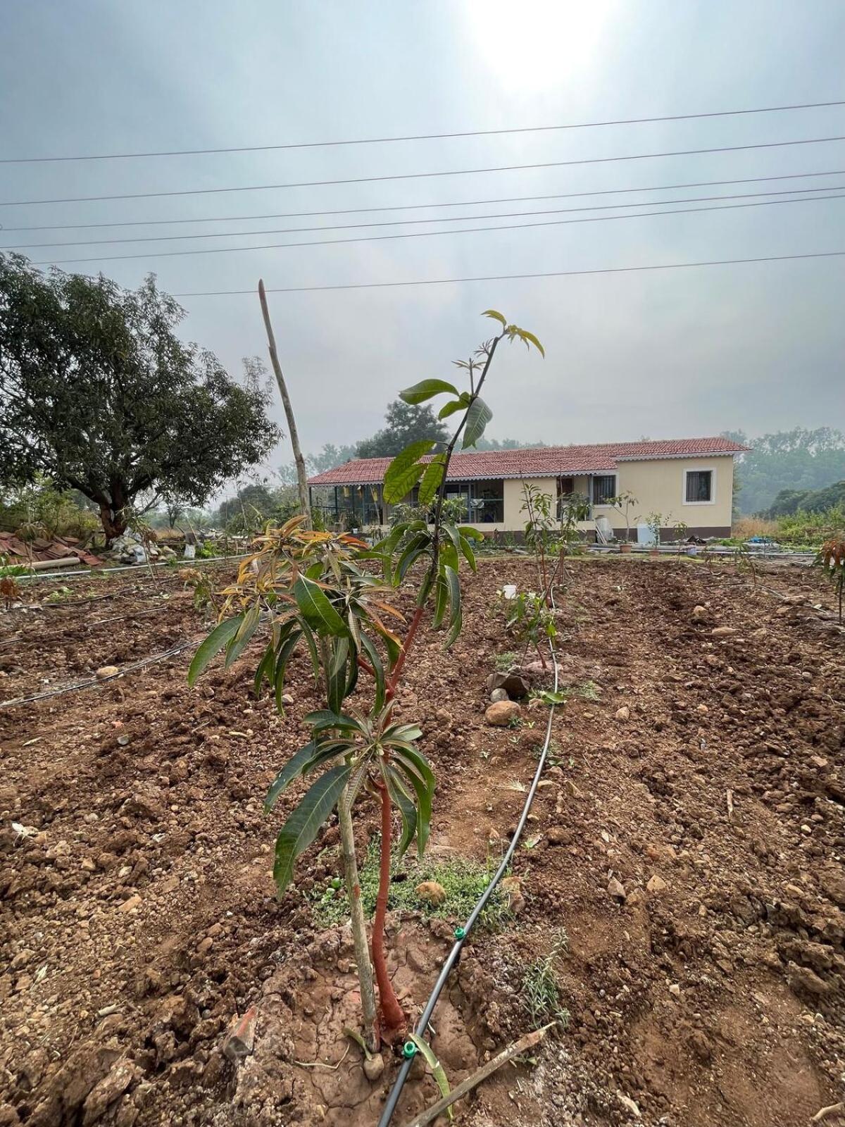 Villa Aj Farms Welhe Exterior foto